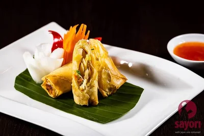Vegetarische Frühlingsrollen (2 Stück)